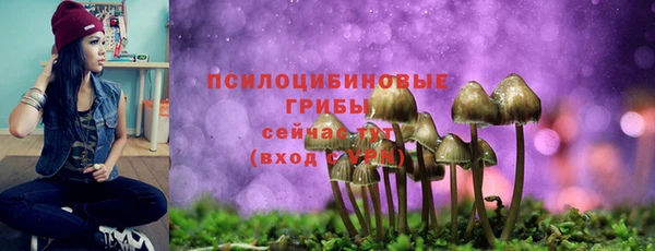 соль курить ск Арсеньев